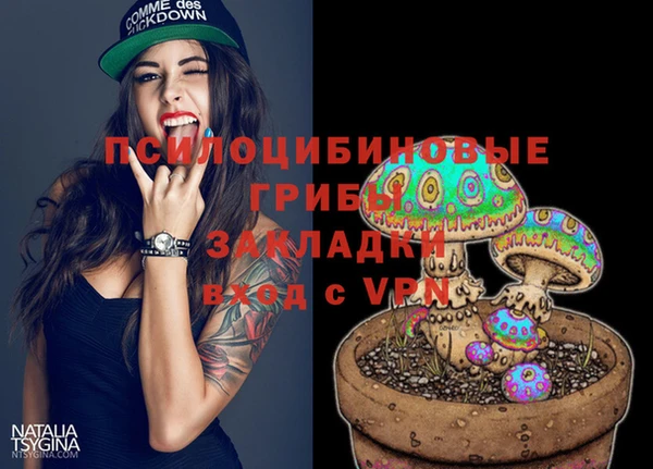 крисы Зеленокумск