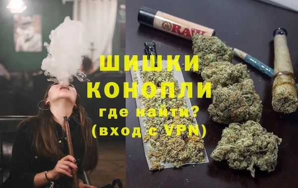 крисы Зеленокумск