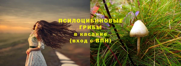 крисы Зеленокумск