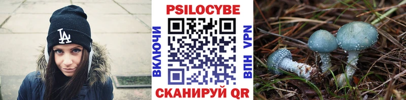 Купить  Болотное  Псилоцибиновые грибы Psilocybe 